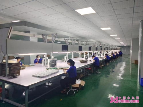 成武县南鲁集镇 做强工业经济，以电子产品研发与销售为引擎，护航经济社会高质量发展